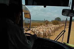 070921_185amazonia.JPG