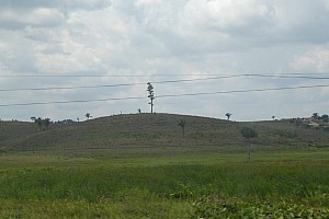 070921_224amazonia.JPG