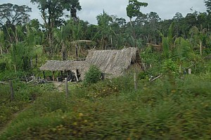070922_034amazonia.JPG