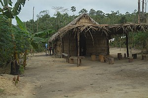 070922_047amazonia.JPG