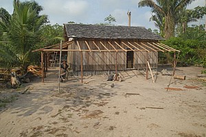 070922_050amazonia.JPG