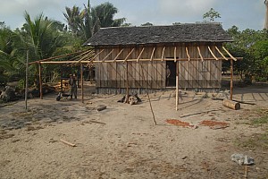 070922_051amazonia.JPG