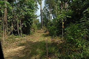 070922_062amazonia.JPG