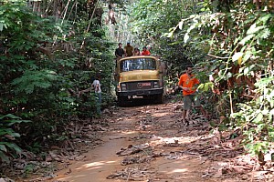 070922_065amazonia.JPG