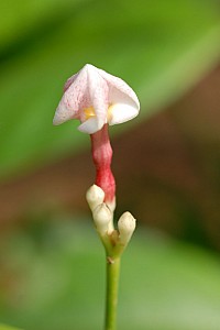 070922_070amazonia.JPG