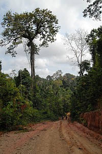 070922_074amazonia.JPG