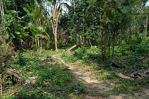 070922_075amazonia.JPG