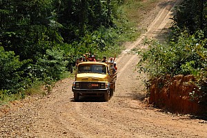 070922_187amazonia.JPG