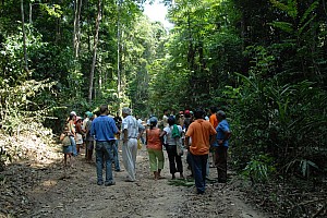 070922_209amazonia.JPG