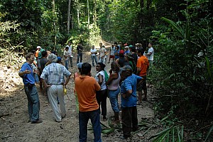 070922_211amazonia.JPG