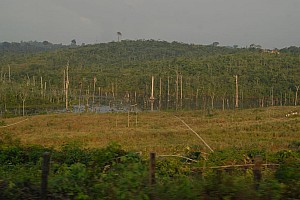 070922_252amazonia.JPG