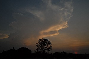 070922_261amazonia.JPG