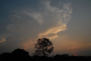 070922_265amazonia.JPG