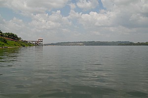 070923_033amazonia.JPG