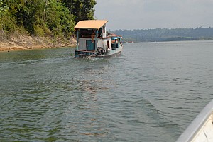070923_044amazonia.JPG