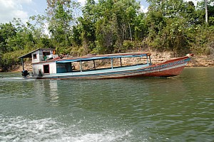 070923_046amazonia.JPG