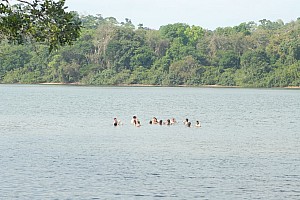070923_069amazonia.JPG