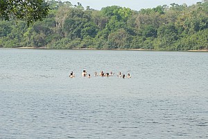 070923_071amazonia.JPG