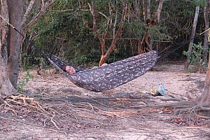 070923_077amazonia.JPG