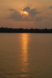070923_097amazonia.JPG