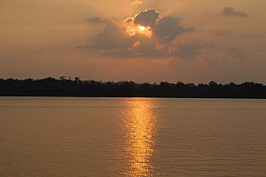 070923_100amazonia.JPG