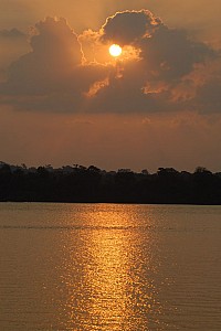 070923_107amazonia.JPG