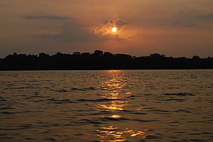 070923_117amazonia.JPG