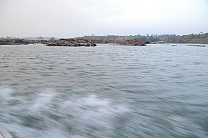 070923_119amazonia.JPG