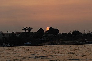 070923_155amazonia.JPG