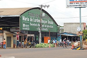 070924_025amazonia.JPG