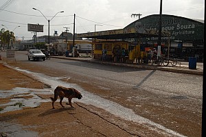 070924_035amazonia.JPG
