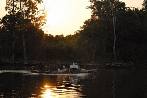 070924_067amazonia.JPG