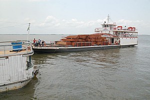 070925_078amazonia.JPG