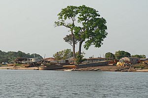 070925_099amazonia.JPG