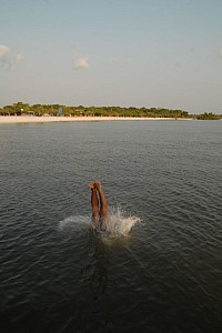 070925_138amazonia.JPG