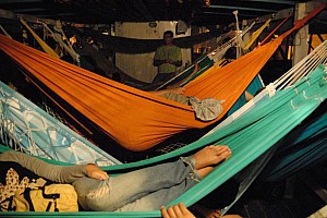 070926_005amazonia.JPG