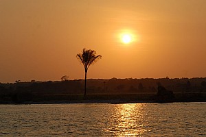070926_059amazonia.JPG