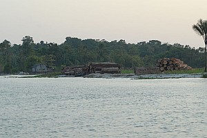 070926_060amazonia.JPG