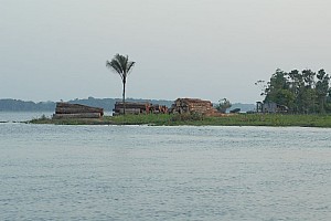 070926_062amazonia.JPG