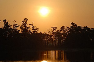 070926_064amazonia.JPG
