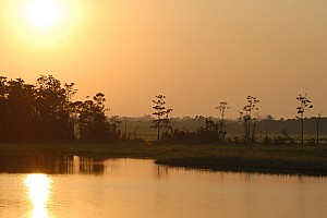 070926_066amazonia.JPG