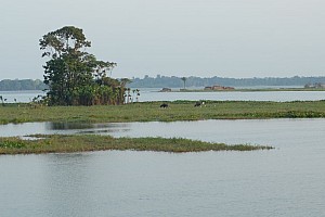 070926_067amazonia.JPG