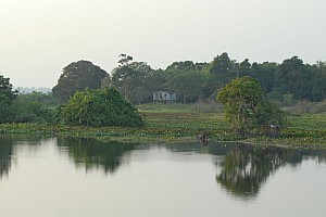 070926_072amazonia.JPG