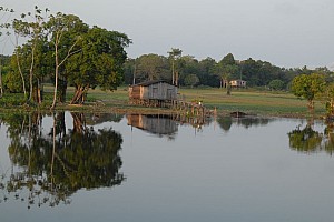 070926_079amazonia.JPG