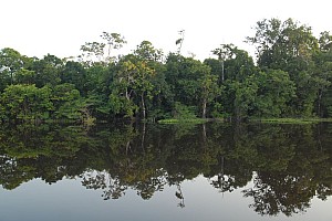 070926_085amazonia.JPG