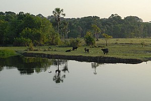 070926_091amazonia.JPG