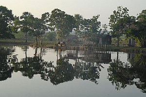 070926_093amazonia.JPG