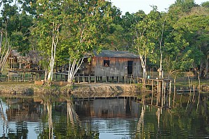 070926_095amazonia.JPG