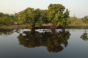 070926_097amazonia.JPG