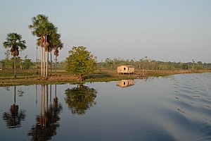 070926_099amazonia.JPG